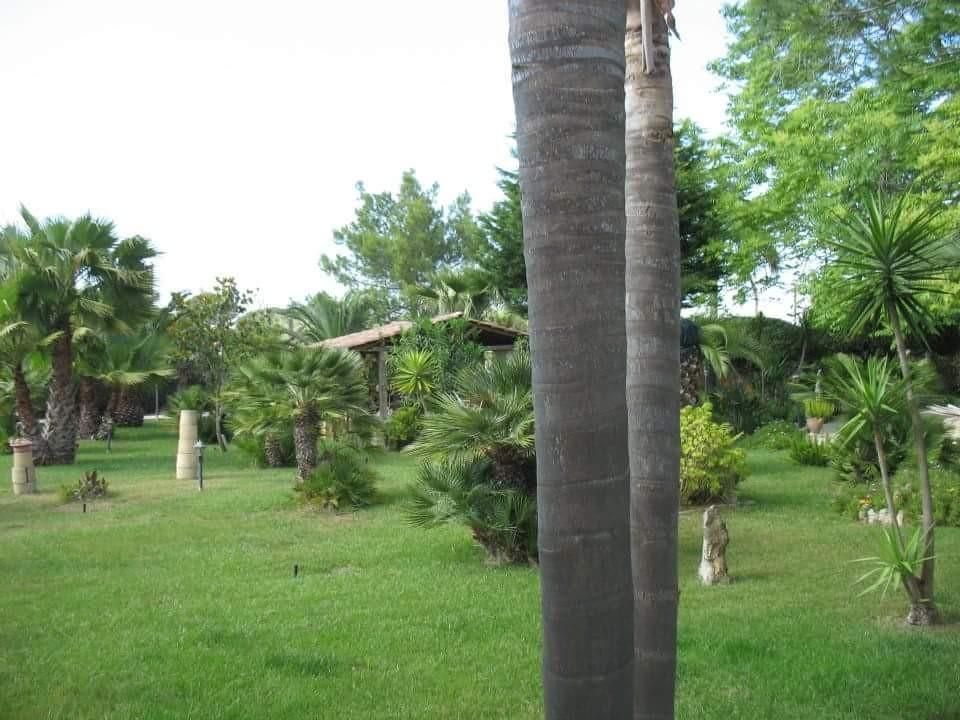 Villa Cecilia Matino Exterior foto